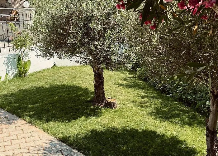 Сasa de vacaciones Aelia Mare